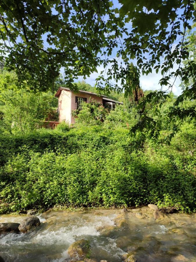 Moulin Vieux Bed and Breakfast La Bollène-Vésubie Εξωτερικό φωτογραφία