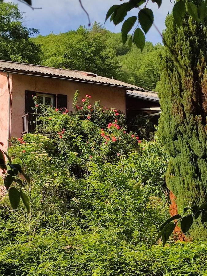Moulin Vieux Bed and Breakfast La Bollène-Vésubie Εξωτερικό φωτογραφία